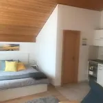 Studio Central Grindelwald Apartament
