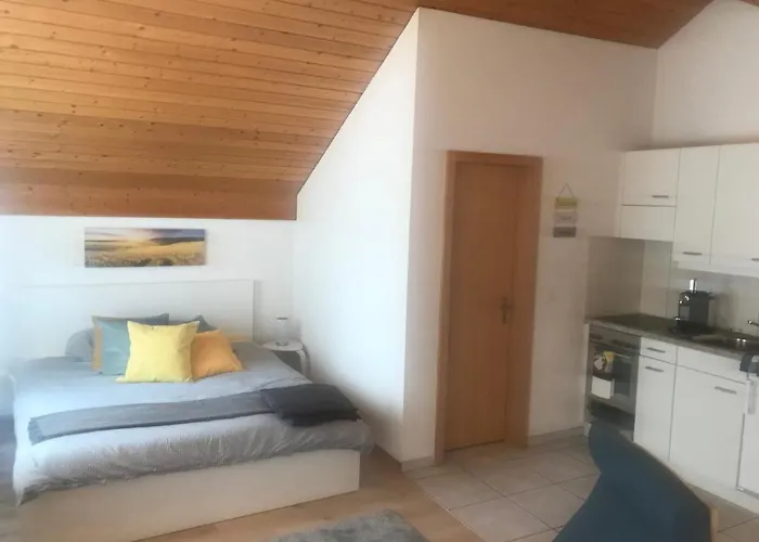 Studio Central Grindelwald Apartment