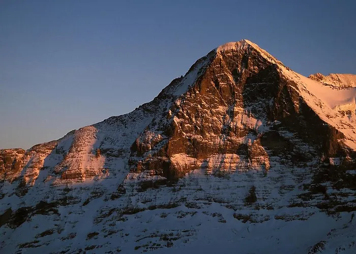 Apartment Studio Central Grindelwald